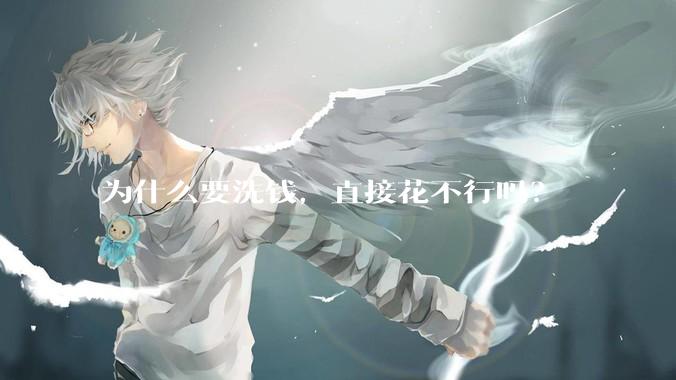 为什么要洗钱，直接花不行吗？