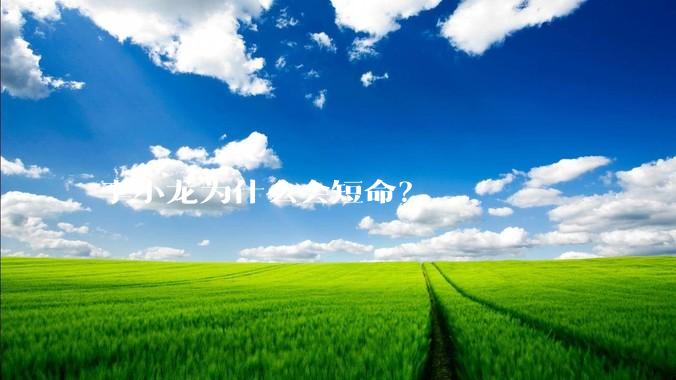 李小龙为什么会短命？