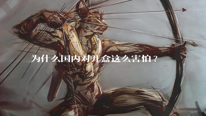为什么国内对开盒这么害怕?