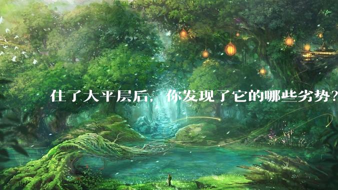 住了大平层后，你发现了它的哪些劣势？